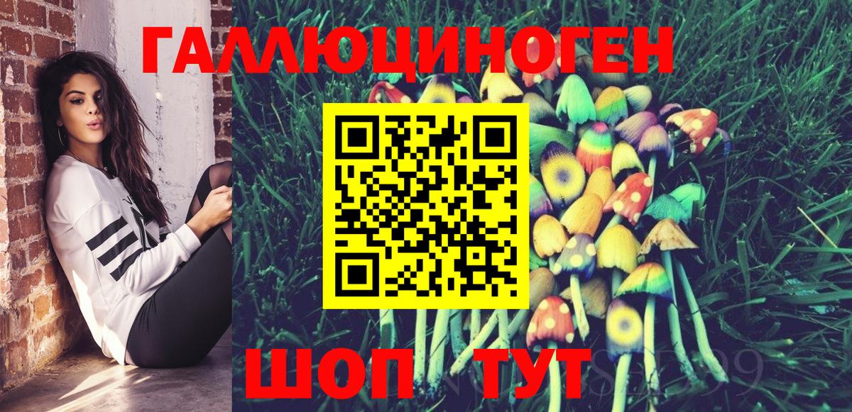 Галлюциногенные грибы Psilocybine cubensis Сухой Лог